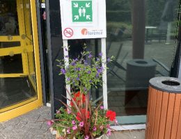 image00007