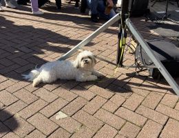 image00011