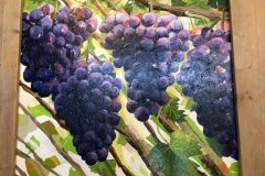 image00007